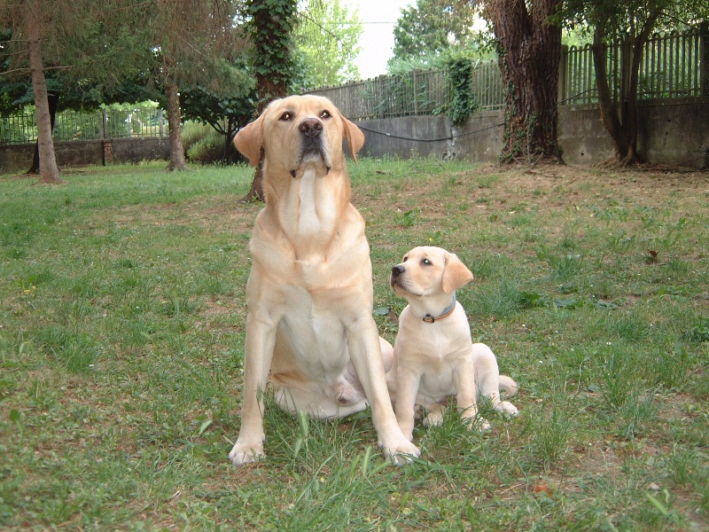 Da grande voglio essere come te!!