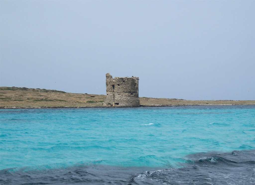 Asinara: l'isola Piana