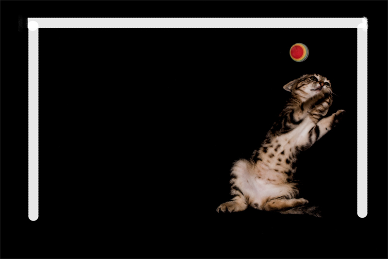 Italia 1 - Francia 0 .  ed e solo l'inizio !!!!!