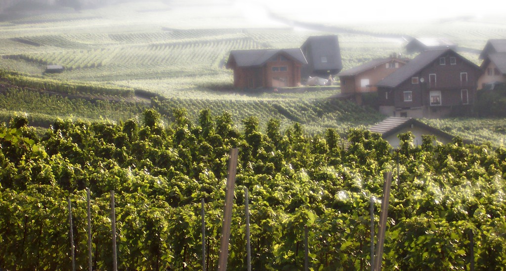 una mattina indimenticabile