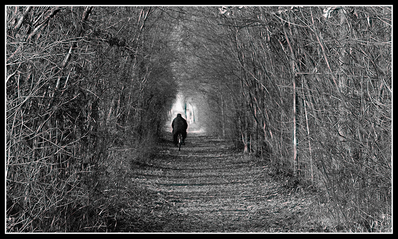 Incontro al domani...