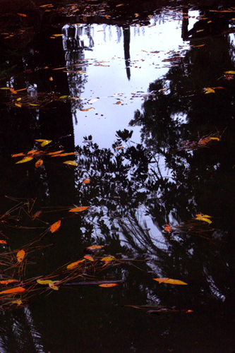 Il lago incantato di magia
