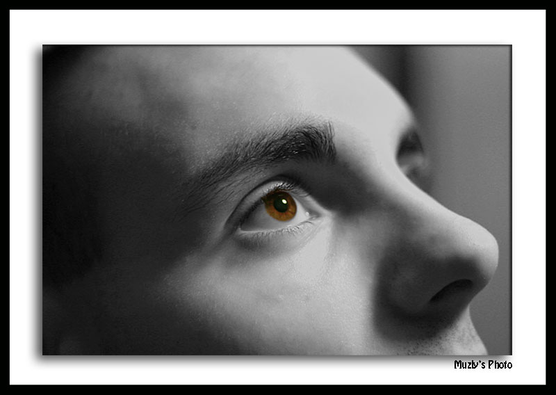 A mio fratello con simpatia