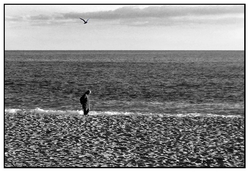 ::: NELLA STESSA DIREZIONE :::