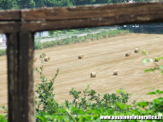 Ritratto di Campagna