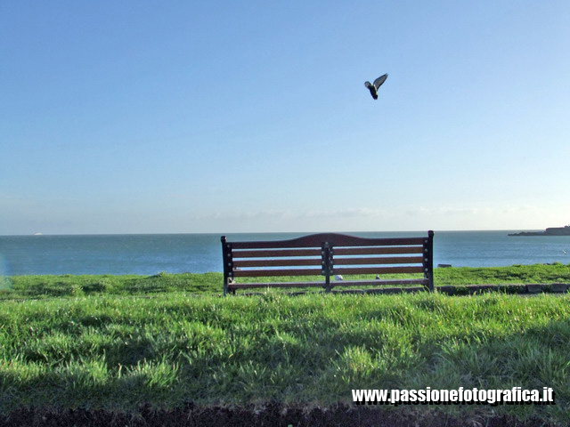 Dun Laogherie (Dublin)