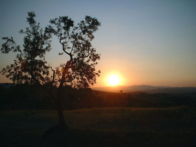tramonto in maremma