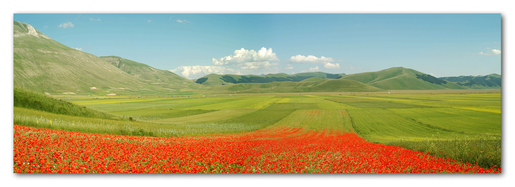 Castelluccio in panoramica