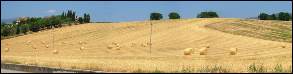Balle di Fieno in discesa