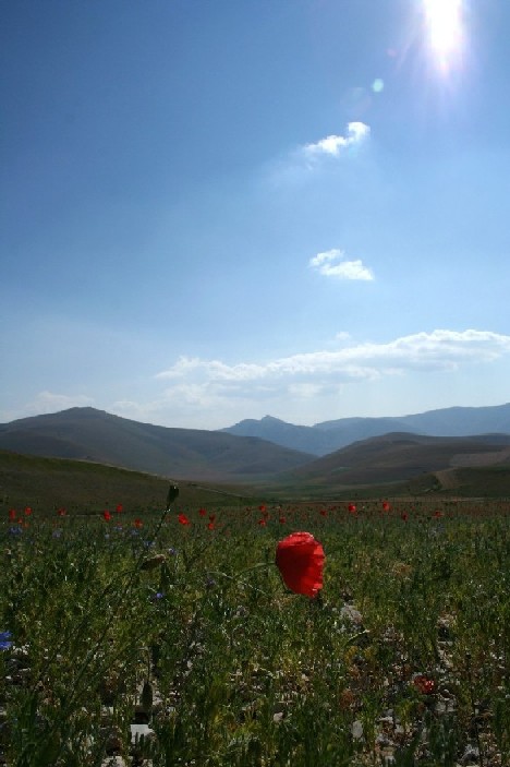 castelluccio di norcia