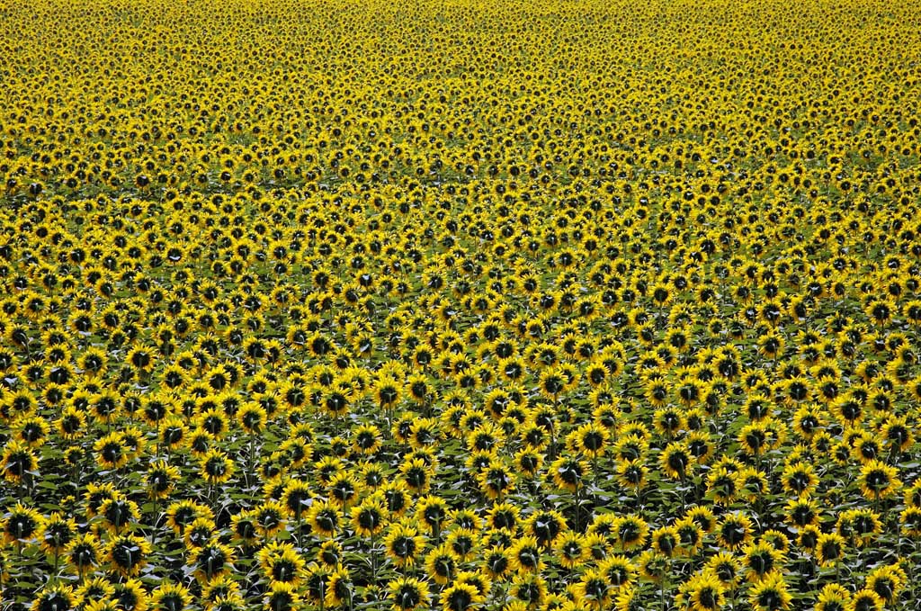 E noi ce ne andiamo!