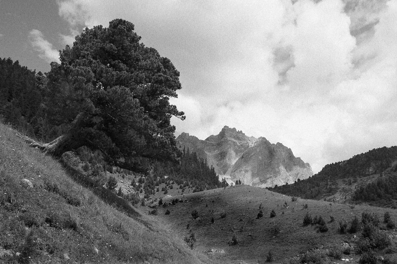 Il vecchio e il bambino.