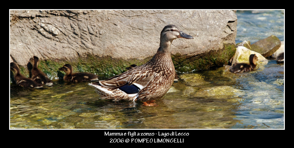 Mamma e Figli a zonzo