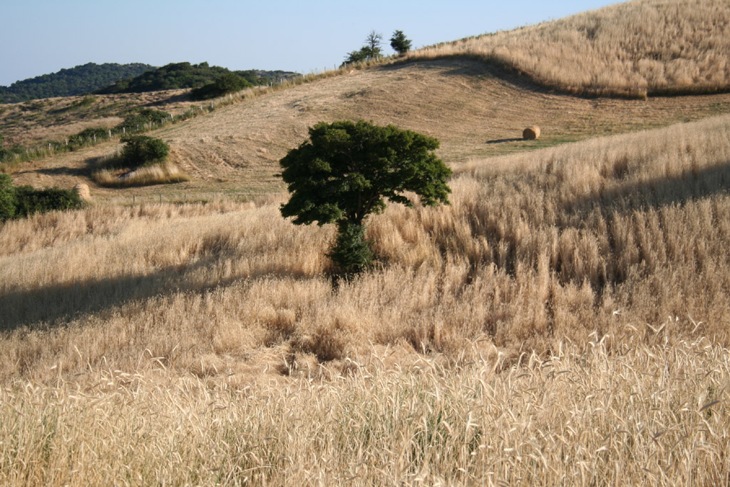 paesaggio amiatino a colori