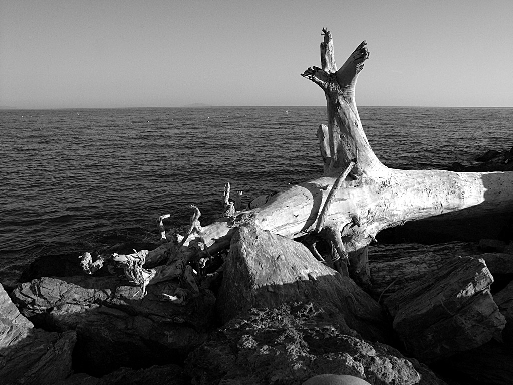 Castiglione della Pescaia, luglio 2004