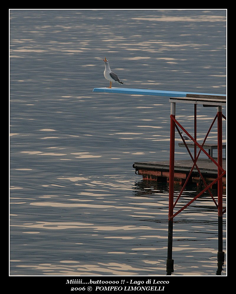 Miiiiii....buttoooooooo !!!!