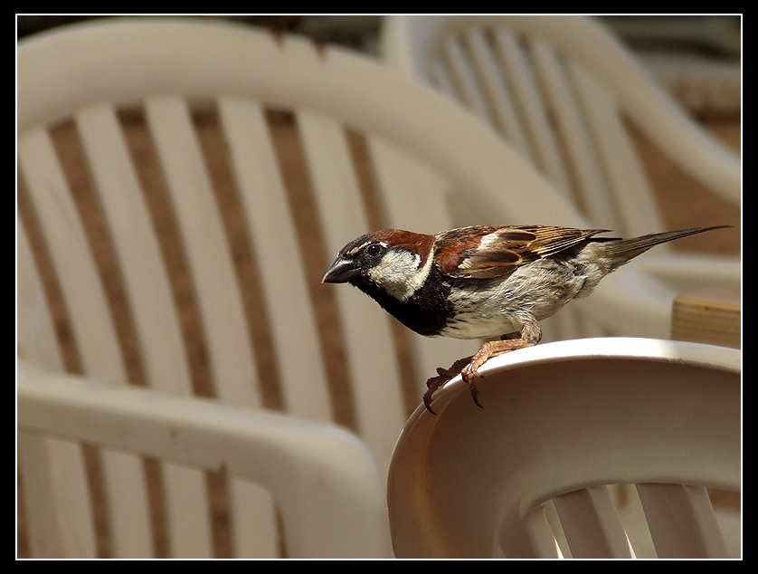 Hai qualcosa per me?