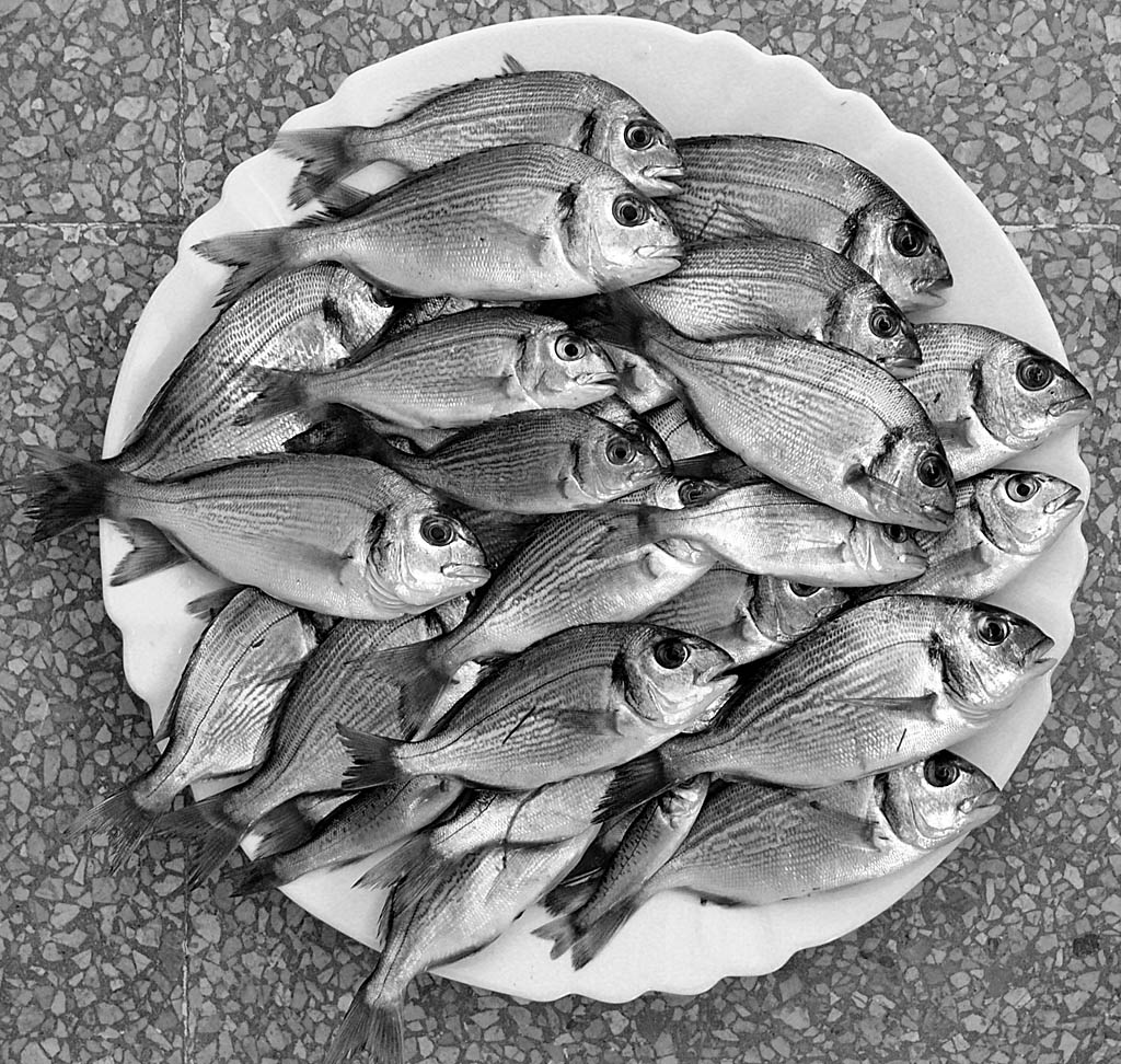 Castiglione della Pescaia, luglio 2004