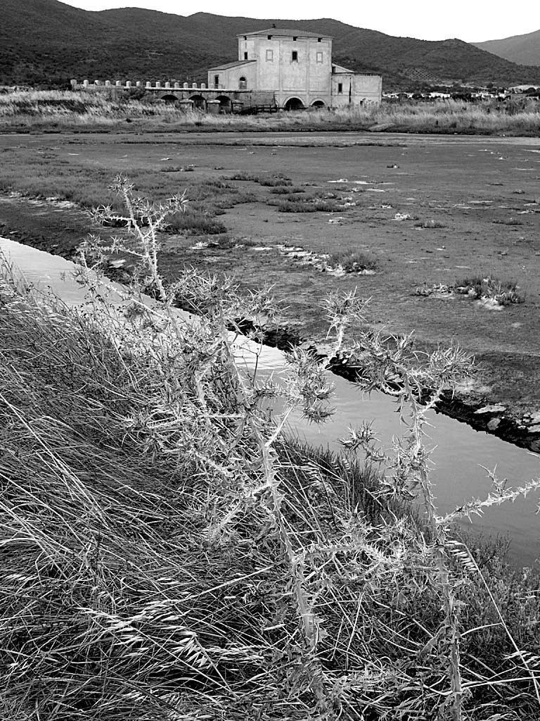 Castiglione della Pescaia, luglio 2004