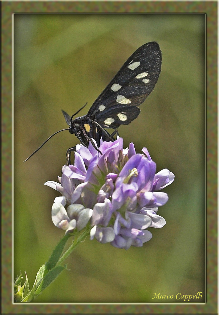 Altra vista del ... prete