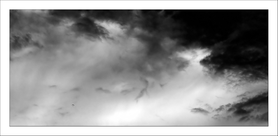 alla ricerca del paracadute minuscolo