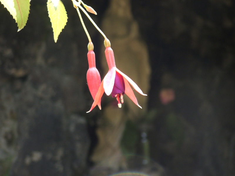 momenti di meditazione