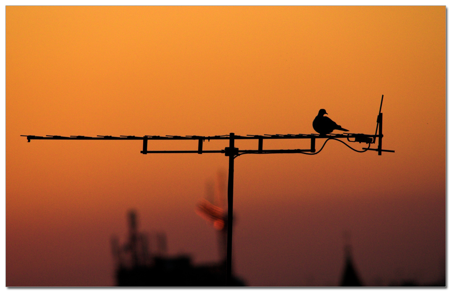 Naturalmente tecnologica