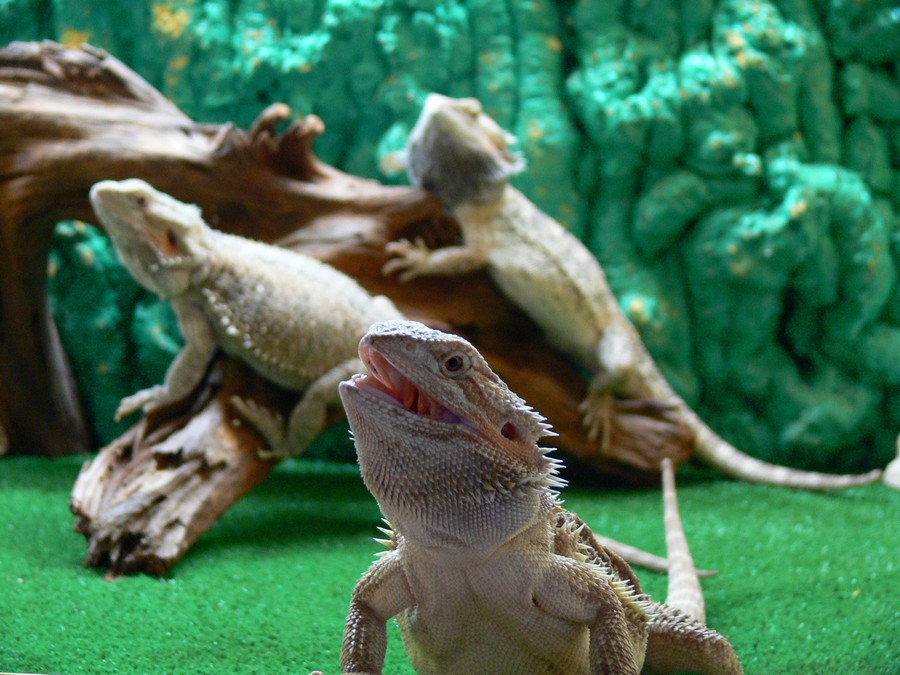 Un po di refrigerio finalmente