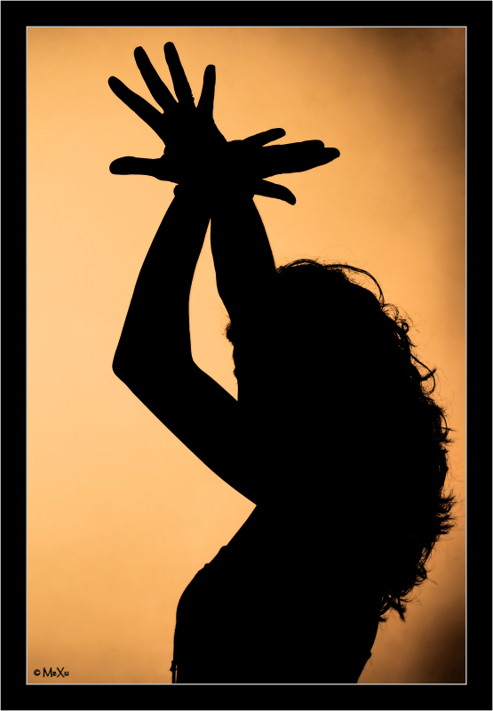 La ballerina di Flamenco