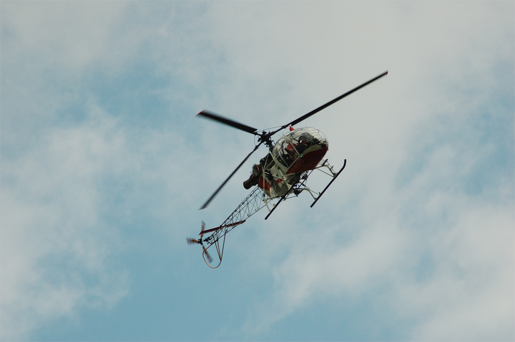 Libellula Tecnologica2