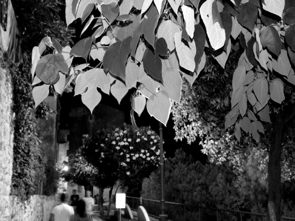 Sperlonga di notte 5