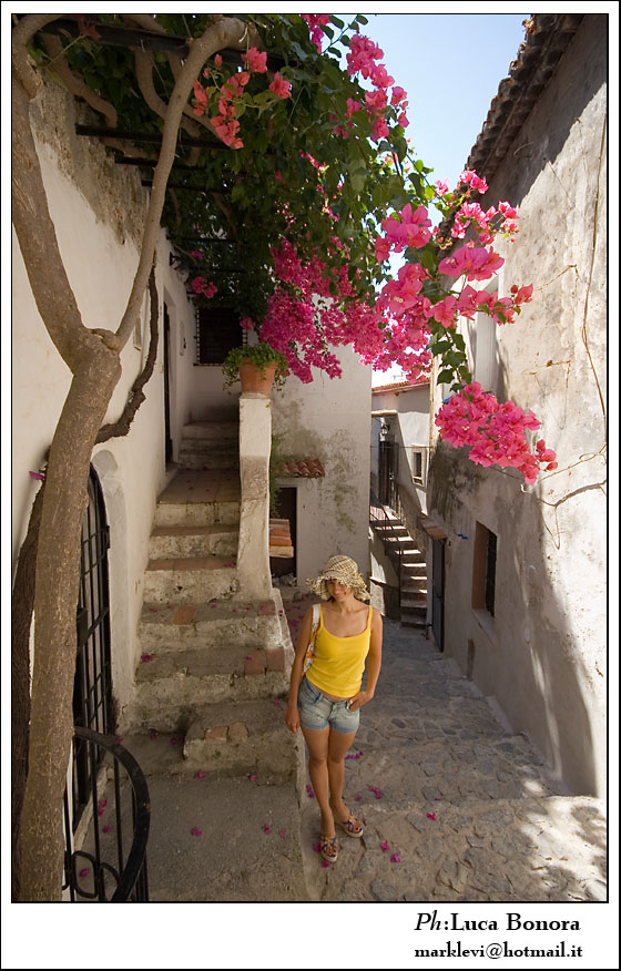 prosp estrema + fiori