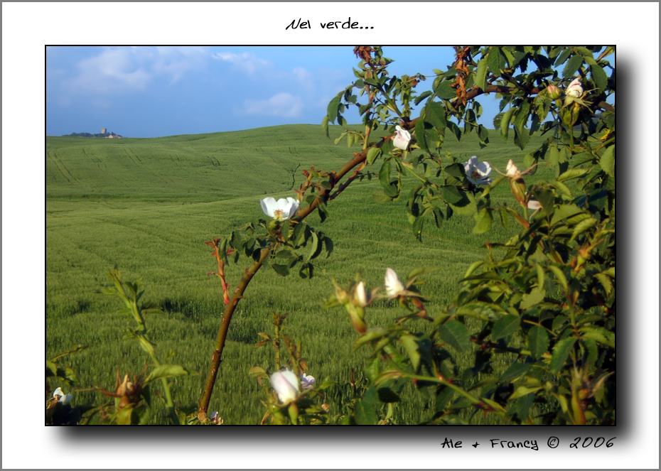 Nel verde...