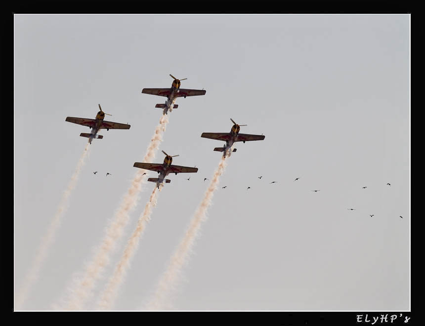 Differenti stili di volo