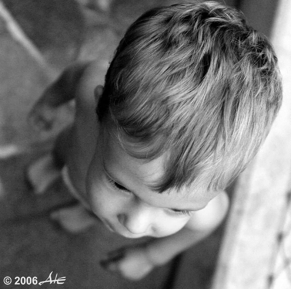 Il Gip preso dall'alto