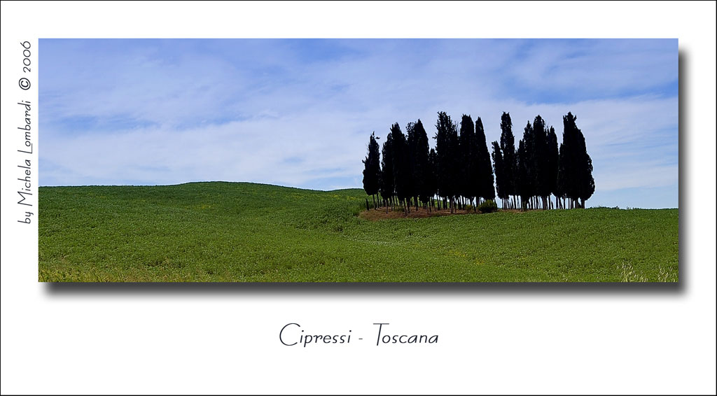 Cipressi