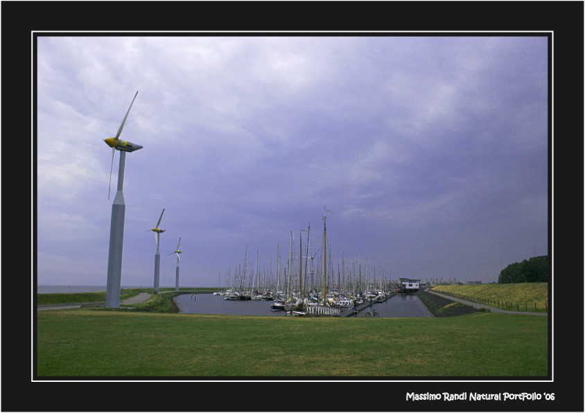 Paesaggio Texel (NL) 01