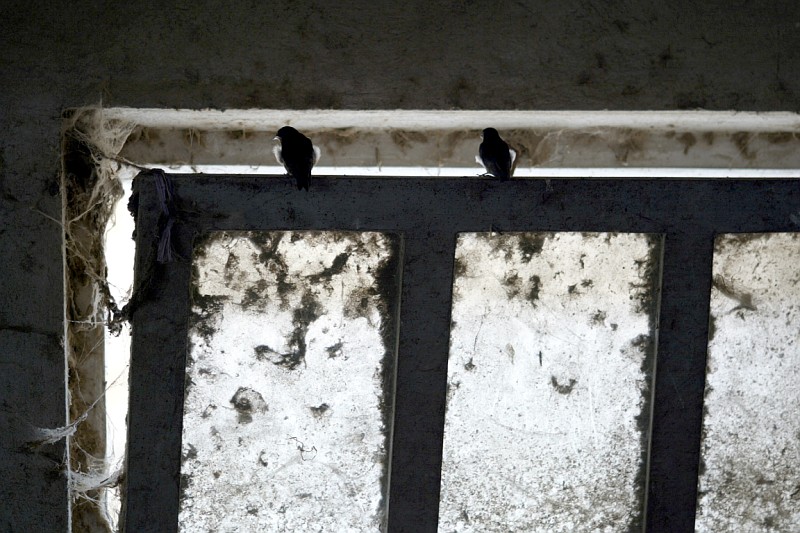 Verso una vita nuova