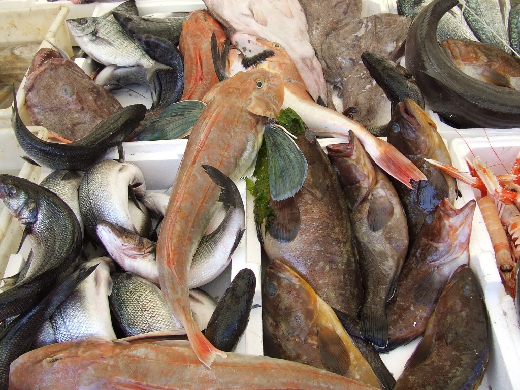 pesce fresco