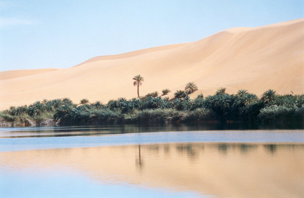 Libia - oasi