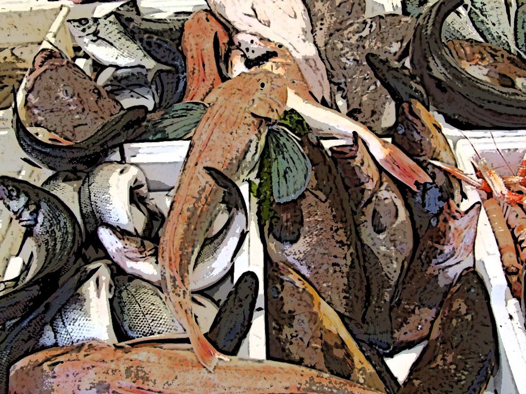 Pesce affresco