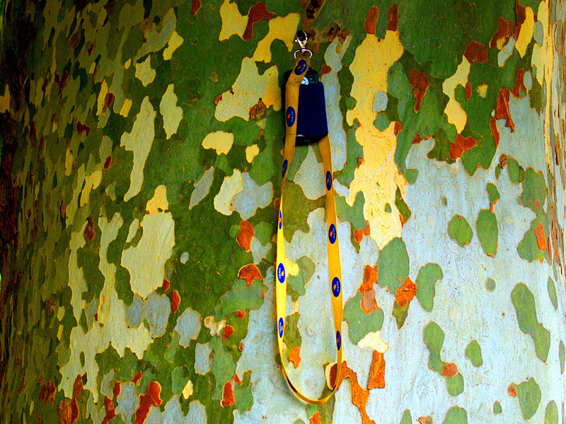 appendi portasigarette