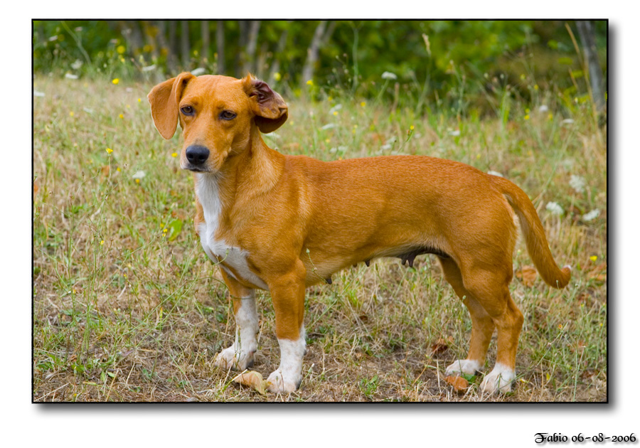 Non ti ho sentito... PUOI RIPETERE???