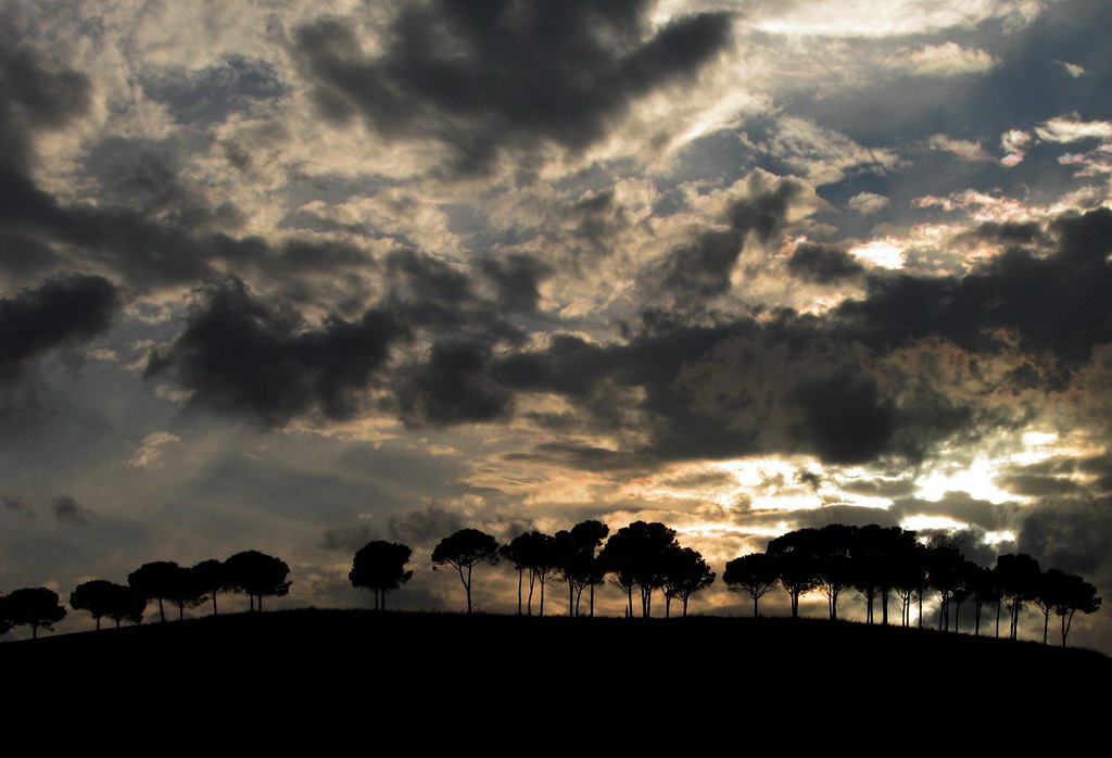 Tutti in fila al tramonto