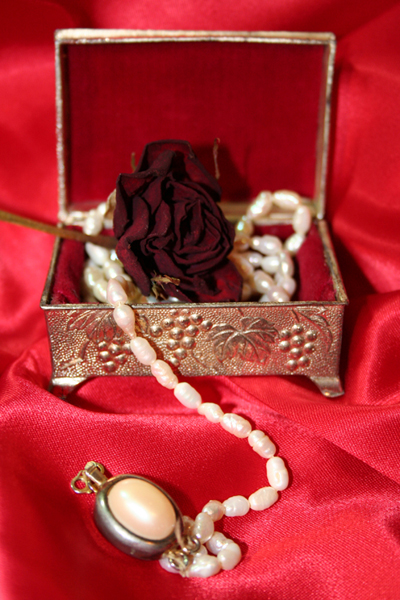 Lo scrigno d'argento