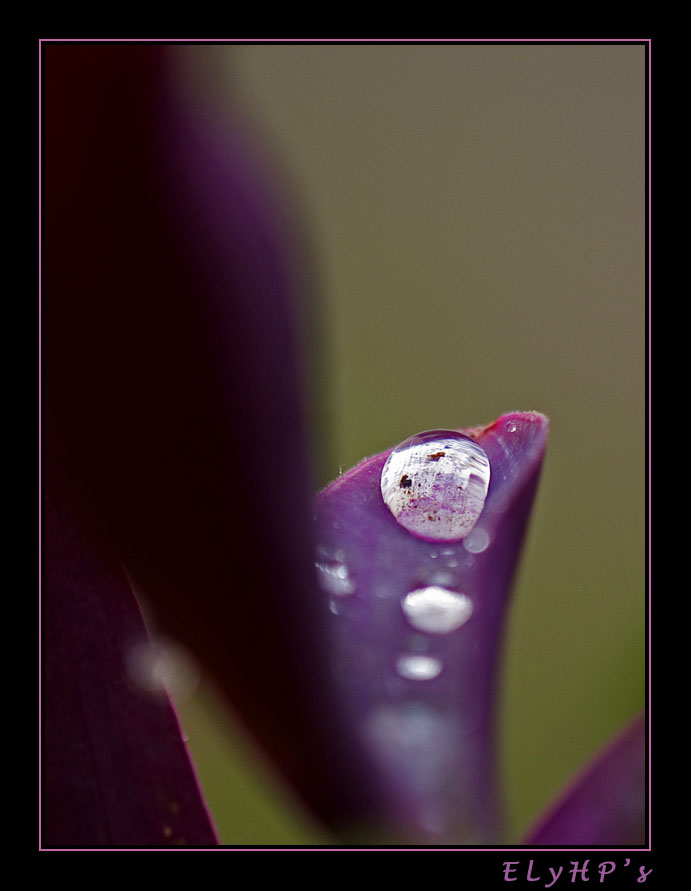 Non tutto � perfetto