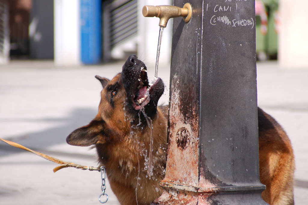 Ho una sete da paura .....