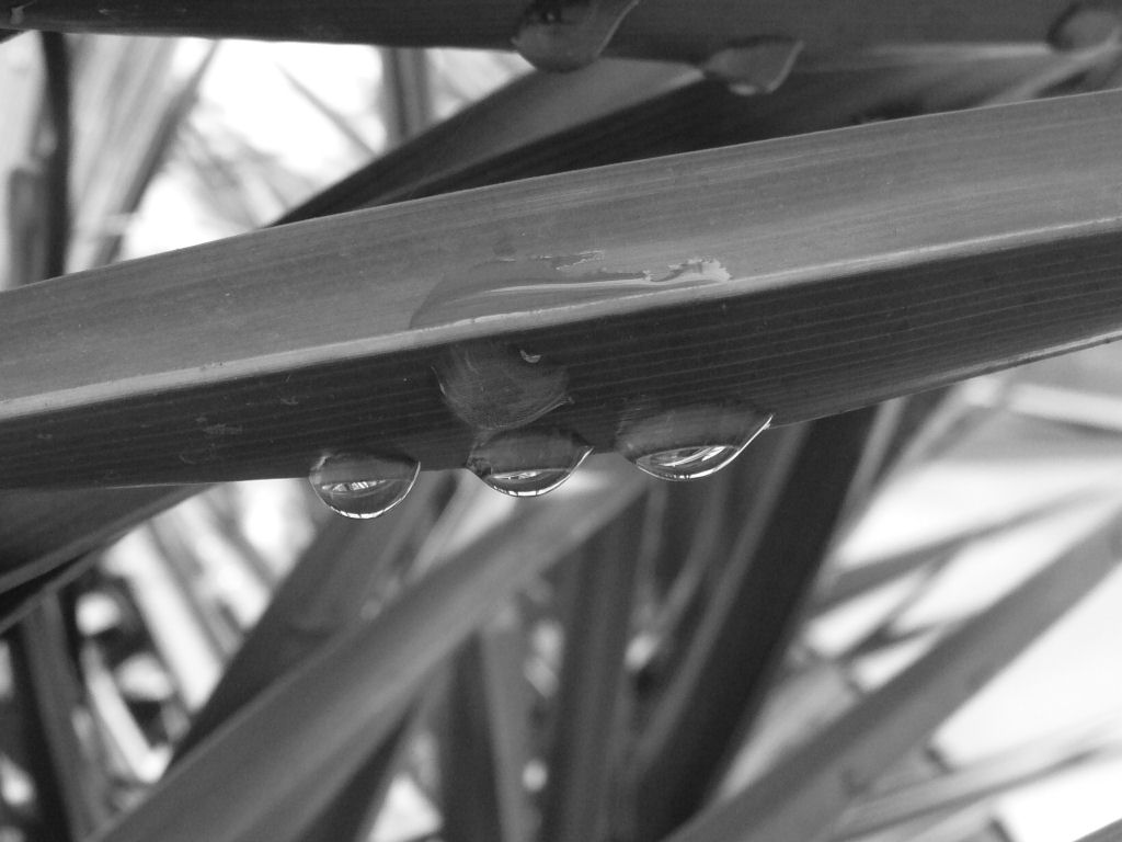 tris di gocce in b\n