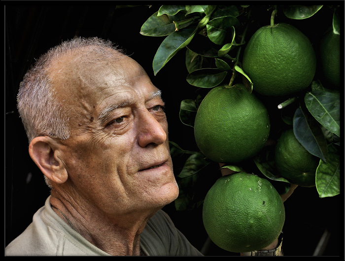 il ritratto e la frutta