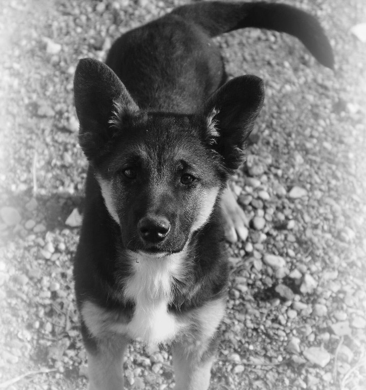 Wanda..la mia ultima arrivata..